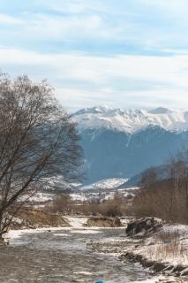 Villa & Spa Plaiul Foii - Sierra Blanca - Zărneşti - 1