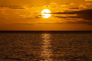 Menehune Shores 606 - Direct Ocean Front, Split AC - Kihei - 8