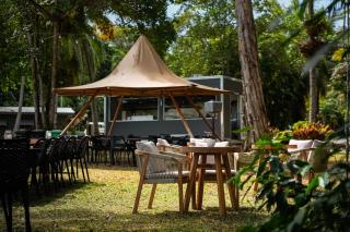 Daintree Beach Resort - Wonga - 6