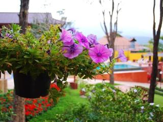 Insda Wellness Resort - Chiang Mai - 1