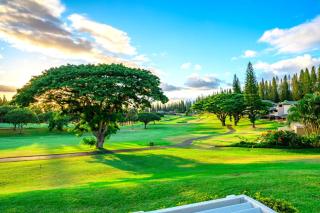 KBM Resorts FREE CAR Kapalua Golf Villa KGV-16P3 Fairway Views - Kapalua - 9
