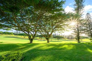 KBM Resorts FREE CAR Kapalua Golf Villa KGV-14P6 Golf Course Views - 4