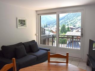 Appartement rénové avec grande terrasse et animaux admis - FR-1-464-238 - 8