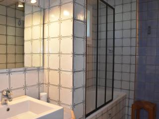 Appartement rénové avec grande terrasse et animaux admis - FR-1-464-238 - 4