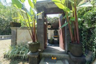 Ubud River Villa, Pool, River View - Ubud - 3