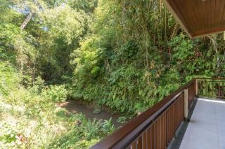 Ubud River Villa, Pool, River View - Ubud - 5