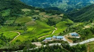 Mu Cang Chai Eco Home - Mù Cang Chải - 0