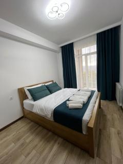 Deluxe One-bedroom Apartment Near Metro & Tbilisi Sea - Tbilisi - 8