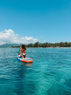 Tipsea Turtle Gili Air - 1