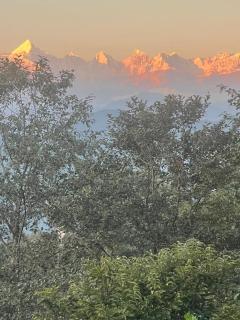 The Himalayan Oaks - 8