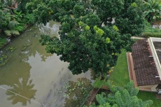 Tharangini - Kumarakom - 7