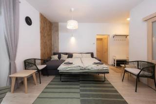 Apartma Medved - Pokljuka - Zgornje Gorje - 8