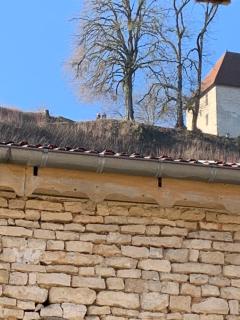 jolie maison dans petit village - 9