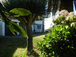 El Lagar de Piedra - San Juan de la Rambla - 4
