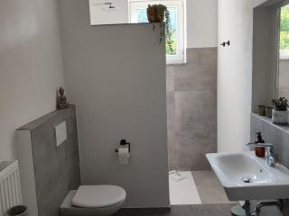 MAINTERRASSE Boardinghouse am Fluss klimatisierte Apartments mit 80qm Terrasse - Miltenberg - 3
