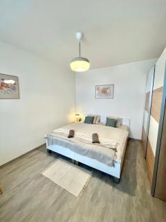The Elite Suite downtown 2- Bedroom apt AC & garage parking - Bratislava - 4