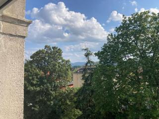 Ferienwohnung Zittau - Zittau - 8