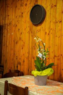 Ralf Apartament - Brunate - 9