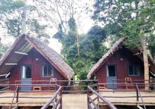 Longoza Ecolodge - Andasibe - 1