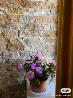 Guesthouse Relax in Kazbegi - Kasbegi - 1