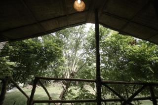 JUNGLE PARADISE FARM & GUEST HOUSE - 3