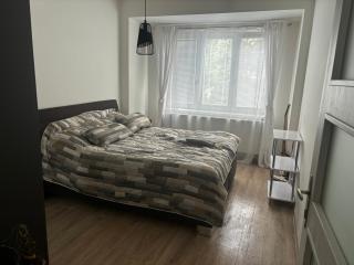 Komfortní byt u parku - Olomouc - 8