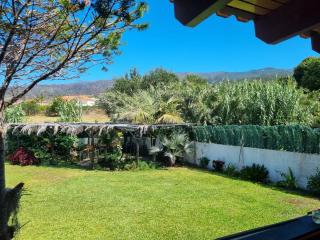 Levada House Prazeres - 8