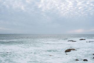 Elegant Clifton Studio 150m from the Sea - Cape Town - 2