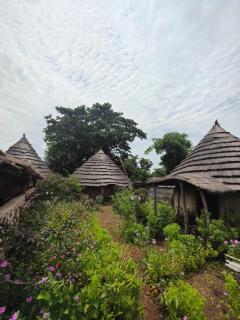 Campement Chez Doba - - 1