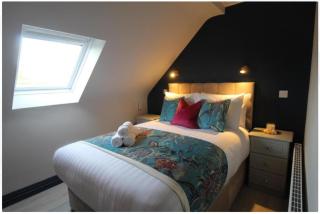 Dutch Tulip Rooms - Cork - 5