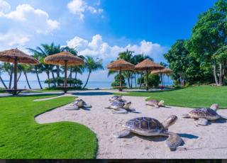 Happy House, Starview Bay, Free WiFi, Forestcity - 2