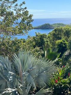 Villa 4 étoiles Le Roc de Malendure - 5