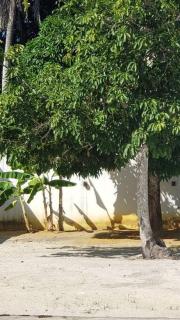 Casa aconchegante em Caravelas Abrolhos BA - Caravelas - 7