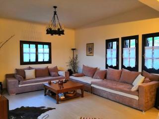 Luxury Mansion in Pelion Hills - Afissos - 9