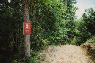 The Drury, Luxury Safari Tent - 1