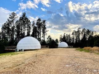 The Prince Dome at Nine Pines - Cadiz - 2