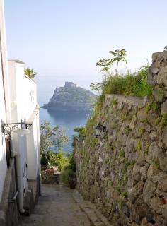 Panoramic villa in the nature of Ischia - Isquia - 9