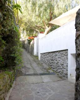 Panoramic villa in the nature of Ischia - Isquia - 8