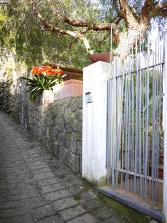 Panoramic villa in the nature of Ischia - Isquia - 7