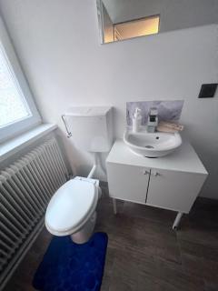 TOP 5 Helle Single Wohnung mit eigenem Bad - Enns - 7