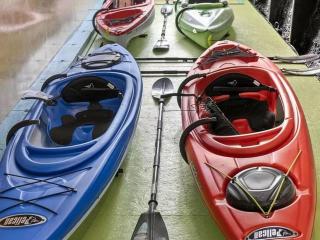 Family fun on the lake! - Reeds Spring - 6