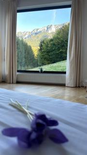 Villa & Spa Plaiul Foii - Sierra Blanca - Zărneşti - 0