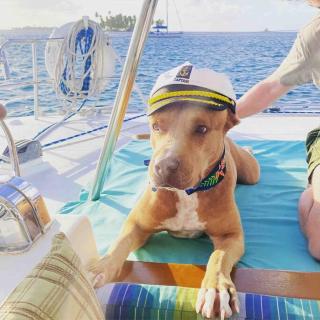 Flying Ginny Lagoon 55 Catamaran All-Inclusive Charter - 3