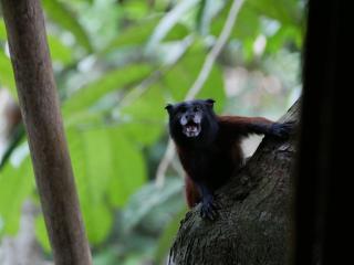 Amaca Eco Station - Iquitos - 3