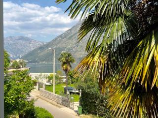 Apartments ASYA - Kotor - 1