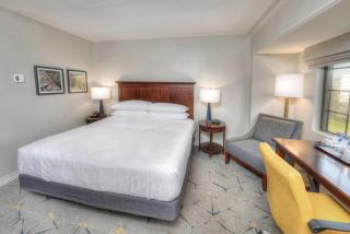 Sheraton Baltimore Washington Airport - BWI - 7