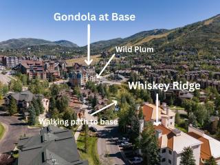 Whiskey Ridge - Spacious Mountain Modern Condo - Easy Walk to Base, Two Patios, 2 Main Suites, Grill! - 9