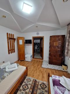 CASA CU LAVANDĂ - Vatra Dornei - 5