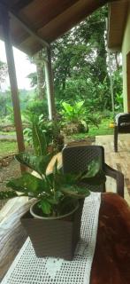Greenhouse Loft Miravalles - Aguas Claras - 2