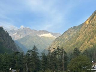 Ronak Hilltop Homestay Kasol - 3